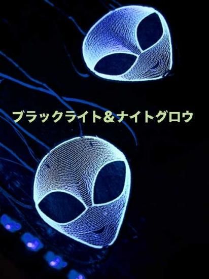 ニッピーブラ