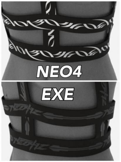 NEO4IC：Elastic Harness